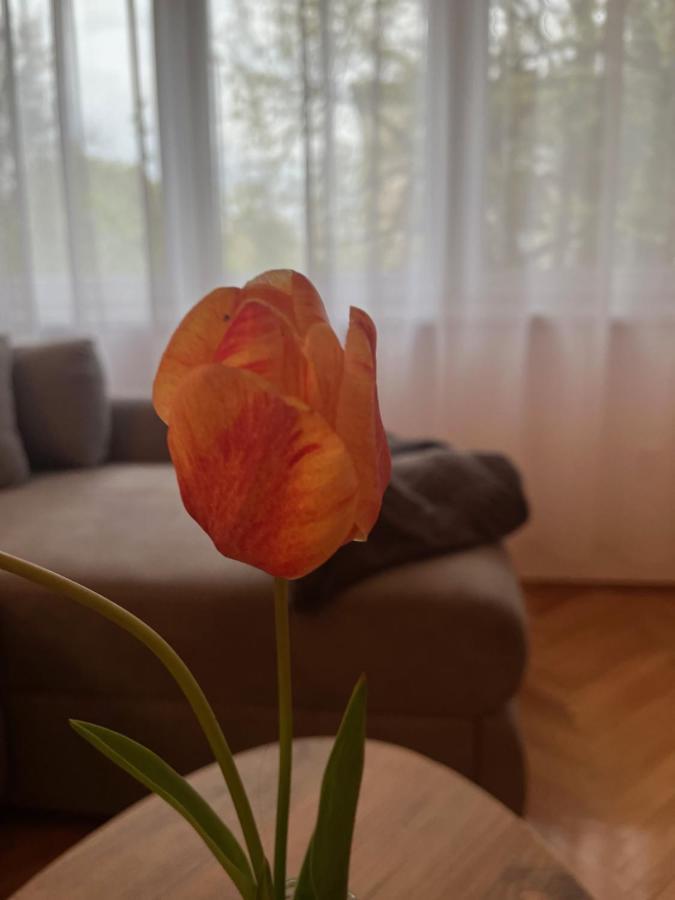 סומבור Apartment Lala מראה חיצוני תמונה
